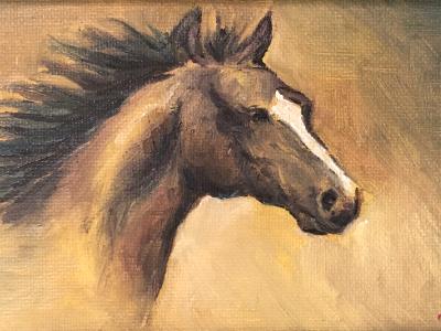 Study of a Horse