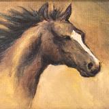 Study of a Horse